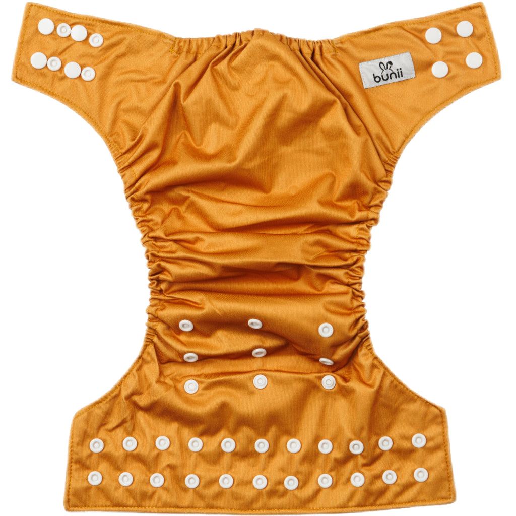 Bunii Cloth Diaper 6-Pack - Raccoons